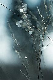 拉瑞安CEO说服员工在《博德之门3》中加入浪漫场景